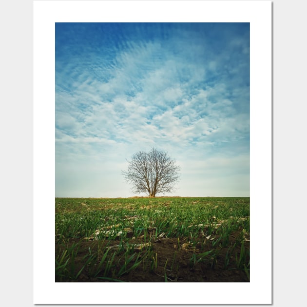 a tree in the spring field Wall Art by psychoshadow